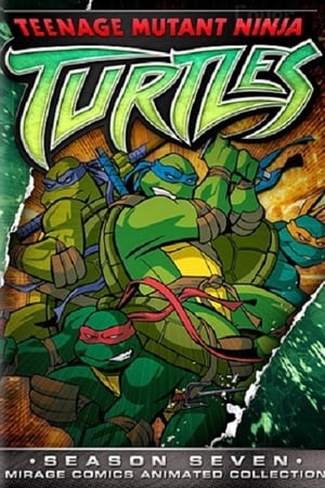 Las Tortugas Ninja temporada  7 online