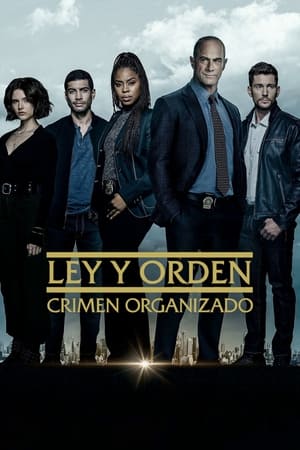 Ley y orden: Crimen organizado temporada  3 online