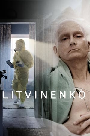 Litvinenko Temporada 1 online gratis