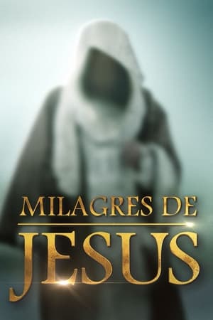 Los Milagros De Jesus Temporada 2 online gratis