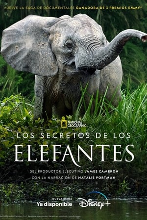 Los secretos de los elefantes temporada  1 online