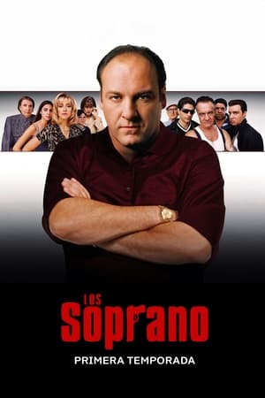 Los Soprano temporada  1 online