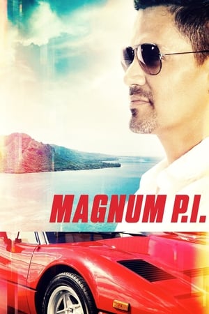 Magnum T 2 C 8 online gratis