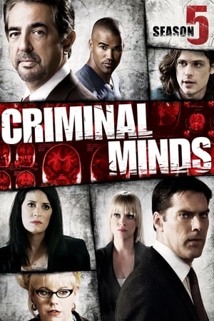 Mentes criminales T 5 C 2 online gratis