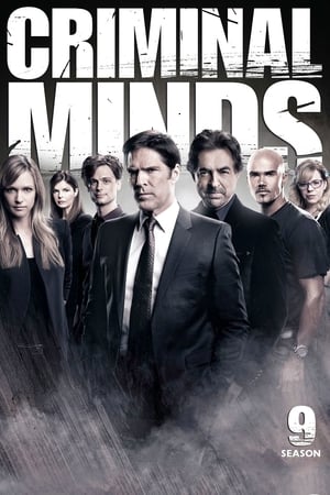 Mentes criminales temporada  9 online