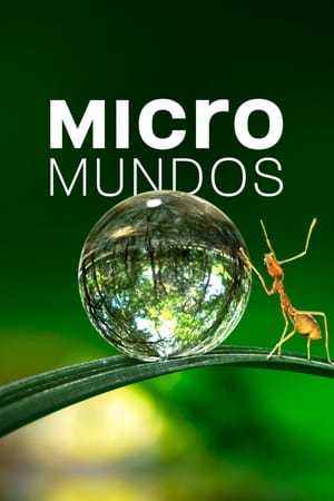 Micromundos Online gratis