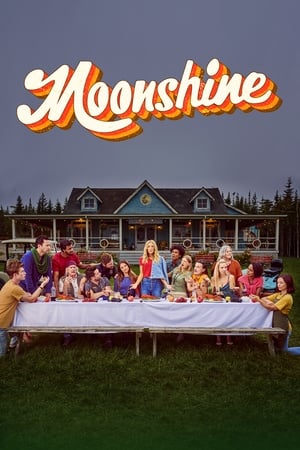 Moonshine temporada  2 online