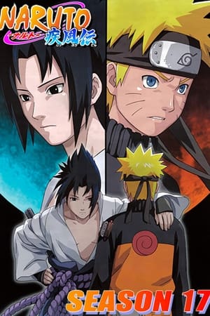 Naruto Shippuden temporada  17 online