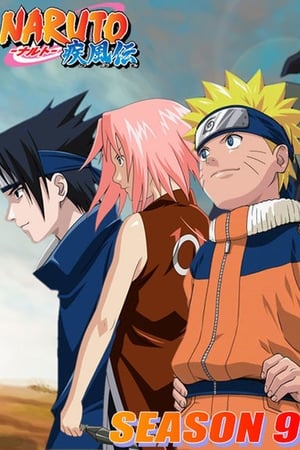 Naruto Shippuden temporada  9 online