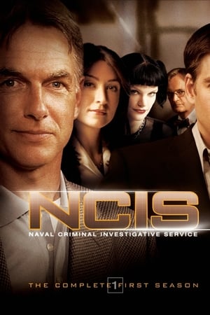 Navy: Investigación criminal Temporada 1 online gratis