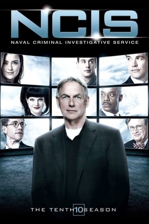 Navy: Investigación criminal Temporada 10 online gratis