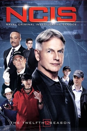 Navy: Investigación criminal Temporada 12 online gratis