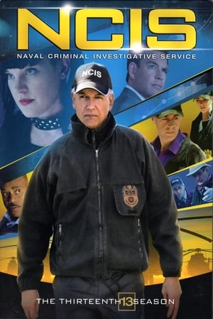 Navy: Investigación criminal temporada  13 online