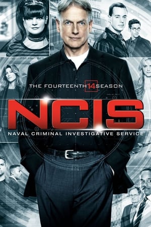 Navy: Investigación criminal Temporada 14 online gratis