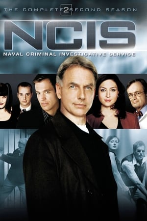 Navy: Investigación criminal Temporada 2 online gratis