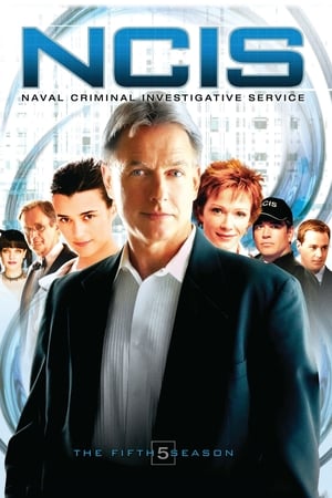 Navy: Investigación criminal Temporada 5 online gratis