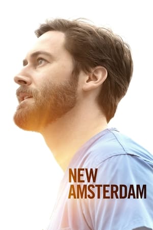 New Amsterdam T 3 C 9 online gratis