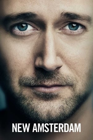 New Amsterdam Temporada 4 online gratis