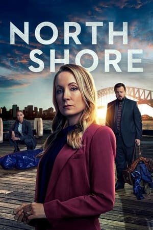 North Shore temporada  1 online