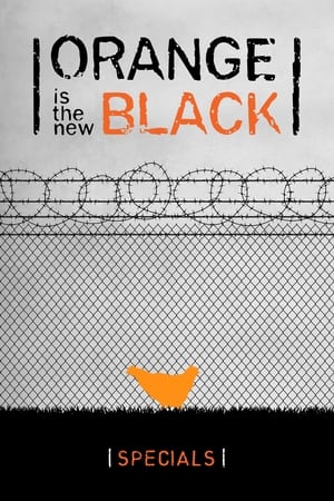 Orange Is the New Black Temporada 0 online gratis