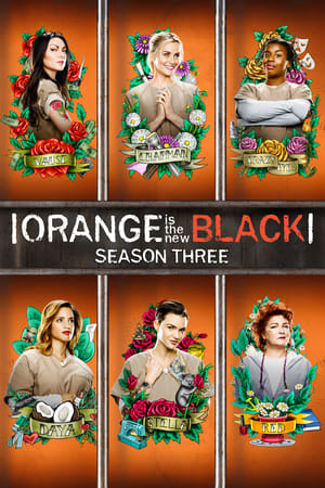 Orange Is the New Black T 3 C 9 online gratis