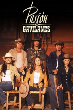 Pasión de gavilanes T 1 C 5 online gratis