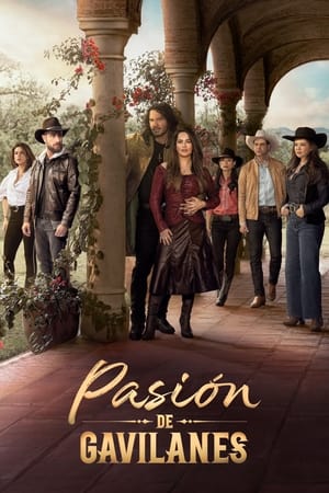 Pasión de gavilanes T 2 C 29 online gratis