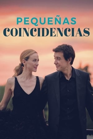 Pequeñas Coincidencias T 2 C 12 online gratis