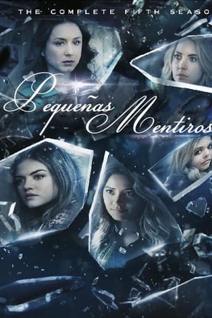 Pequeñas mentirosas T 5 C 9 online gratis