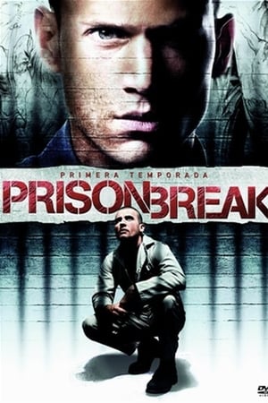 Prison Break T 1 C 10 online gratis