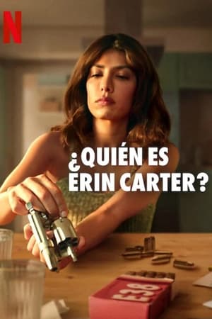 ¿Quién es Erin Carter? temporada  1 online