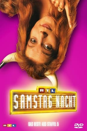 RTL Samstag Nacht temporada  5 online