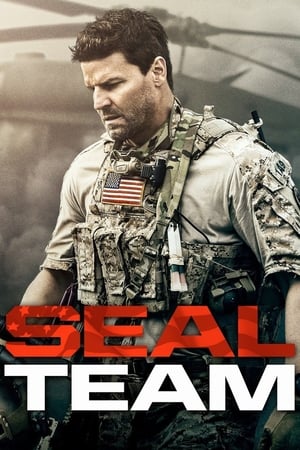 SEAL Team T 1 C 9 online gratis