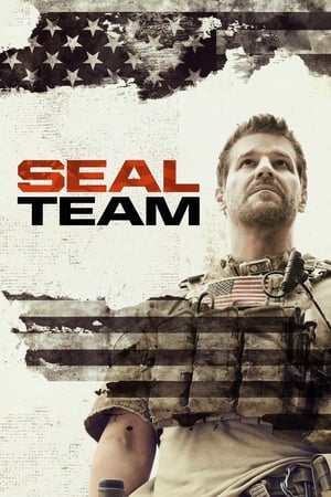 SEAL Team T 3 C 18 online gratis