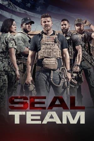 SEAL Team T 5 C 11 online gratis