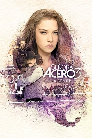 Señora Acero temporada  3 online