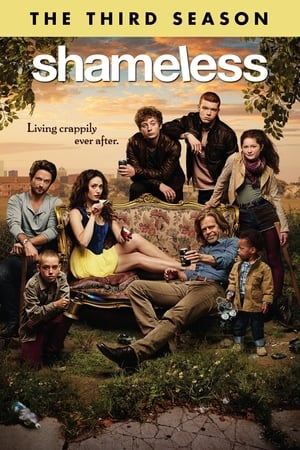 Shameless T 3 C 1 online gratis