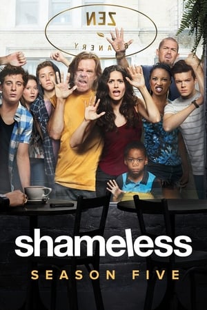 Shameless T 5 C 1 online gratis