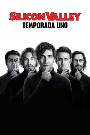 Silicon Valley temporada  1 online