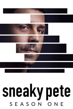 Sneaky Pete T 1 C 6 online gratis