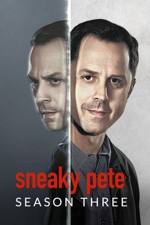 Sneaky Pete T 3 C 5 online gratis