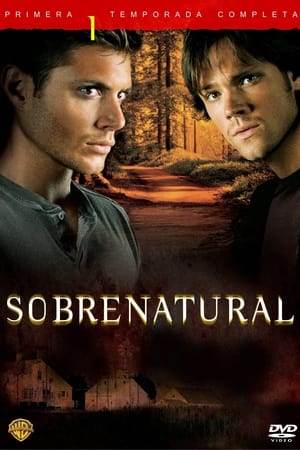 Sobrenatural temporada  1 online