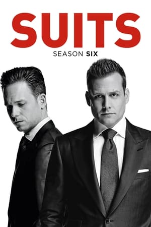 Suits: la clave del éxito temporada  6 online