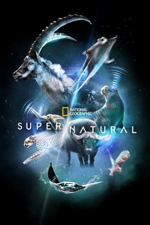 Super/Natural T 1 C 2 online gratis