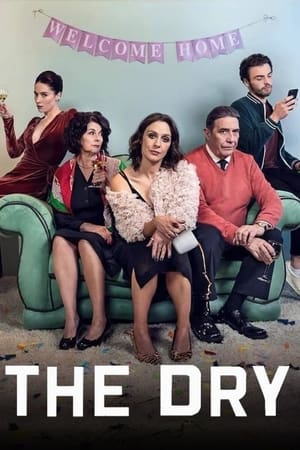 The Dry Temporada 1 online gratis