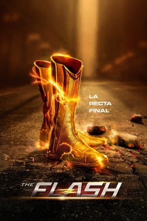 The Flash Temporada 9 online gratis