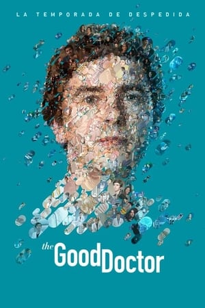 The Good Doctor Temporada 7 online gratis