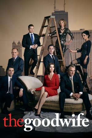 The Good Wife temporada  6 online