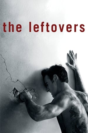 The Leftovers Temporada 1 online gratis