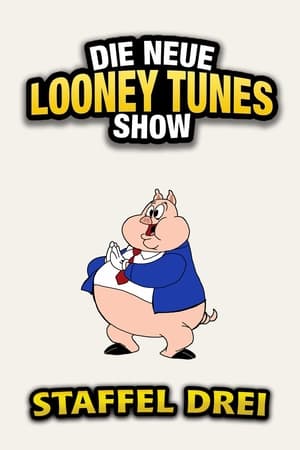 The New Looney Tunes temporada  3 online